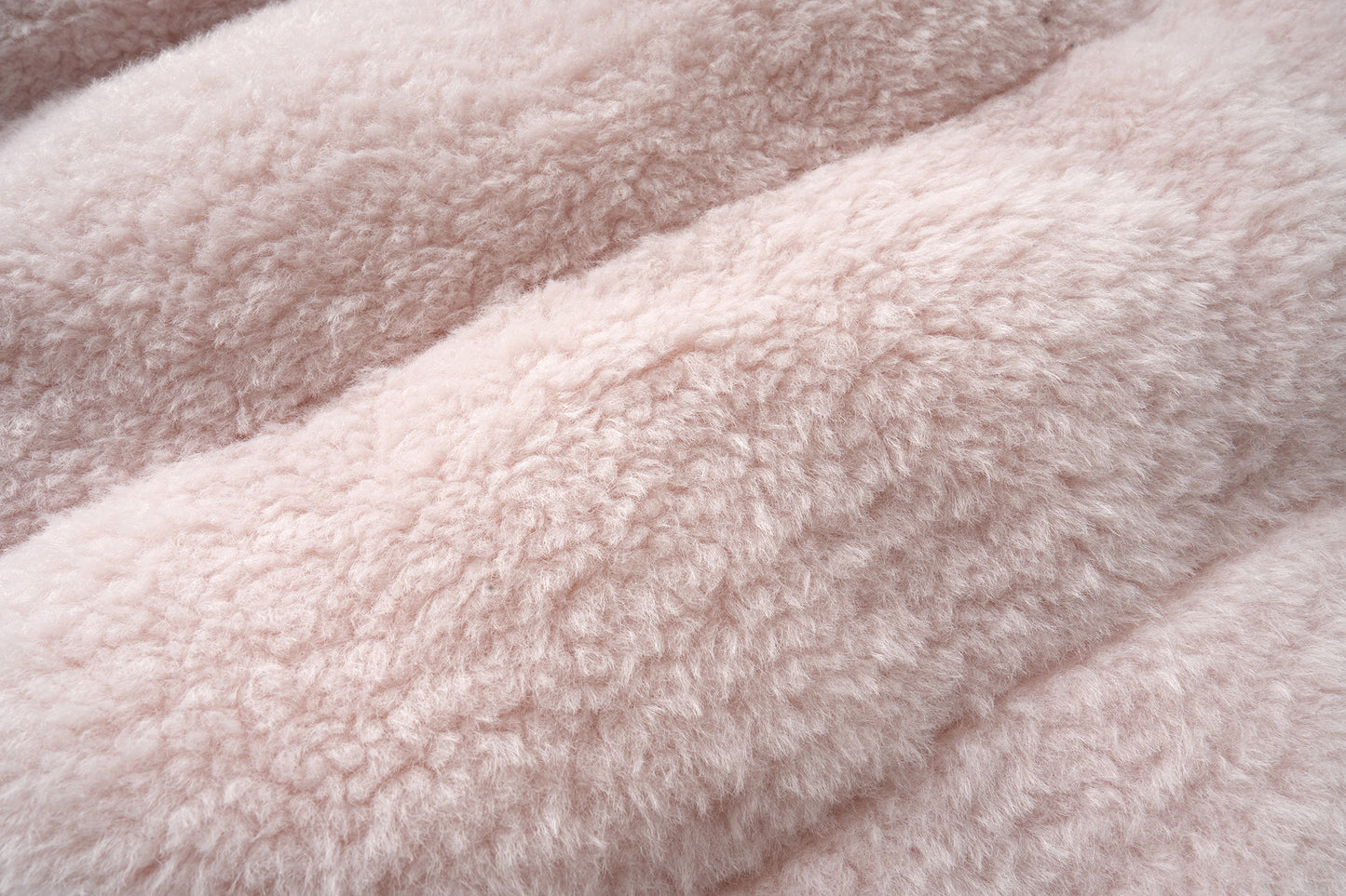 Nightfall Moto | Faux Leather Belted Jacket