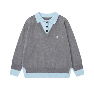 Classic Line | Contrast Collar Knit Polo Sweater