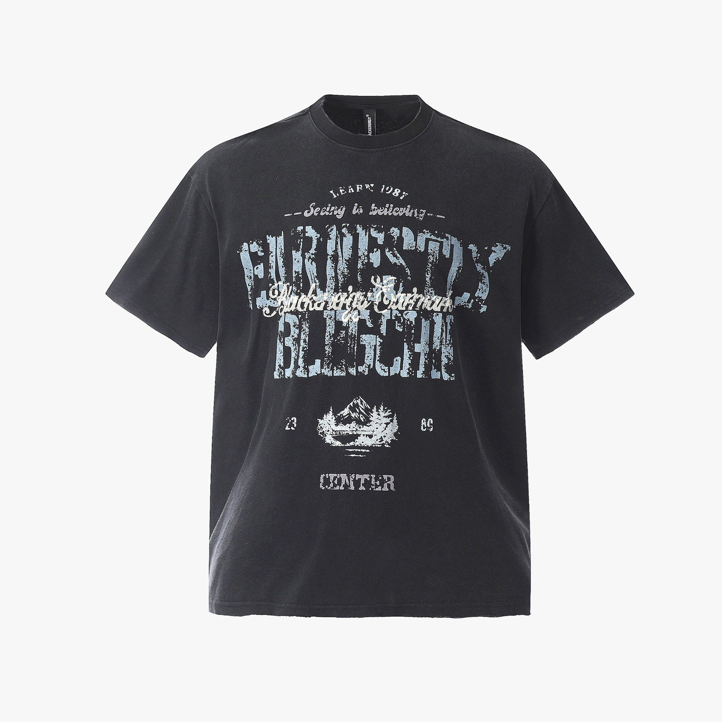 Vintage Washed Mountain Graphic T-Shirt